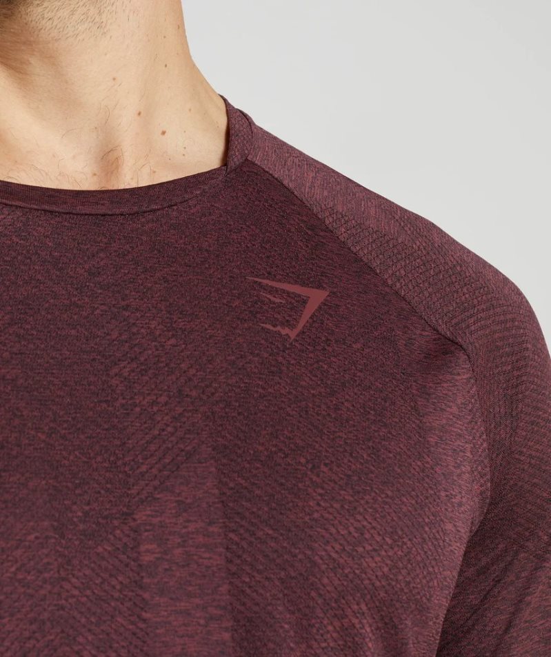 Koszulki Gymshark Apex Long Sleeve Męskie Ciemny Brązowe | PL 283LMN